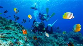 台東、蘭嶼旅遊潛水。（圖／PChome旅遊提供）