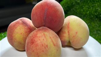 銷售不佳！尖石鄉水蜜桃淪「餵豬」