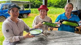 （圖／草地狀元提供）