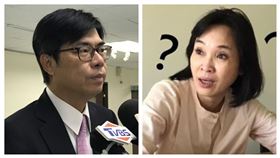 陳其邁、柯志恩(組合圖)