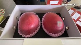 文 芒鑽石賣千1200