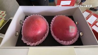 得獎芒果2顆要價千元　搶攻頂級客群