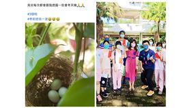 高雄,鳳林國中,會考,雄中,雄女,第一志願