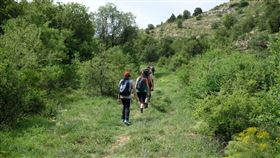 爬山，登山（圖／翻攝自unsplash）