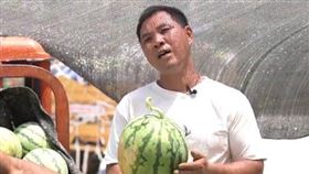 驗瓜師,薪水,西瓜,西瓜之鄉,夏邑