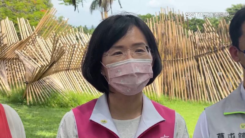 蘇巧慧推辭林佳龍總幹事　吳秉叡接任