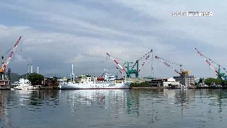 悲歌！燕鷗俯衝覓食「脖卡飲料杯蓋」