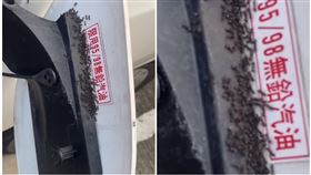 汽油是甜的？她油箱「慘變蟻窩」內行秒懂教這招：1天解決（圖／翻攝自爆廢公社）