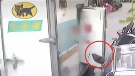 黑貓、車禍、車門沒關、