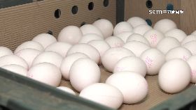 雞蛋漲兩元1200