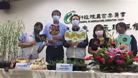 台灣原生百合細葉卷丹重生  種苗開放購買農委會種苗改良繁殖場20日舉行記者會，宣布台灣原生百合之一的細葉卷丹，經興大、種苗場接力合作，種苗已能量化繁殖，歡迎民眾向種苗場購買。中央社記者楊淑閔攝  111年7月20日