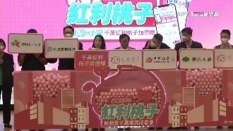 紅利桃子千萬振興！疫後小確幸拚雙贏