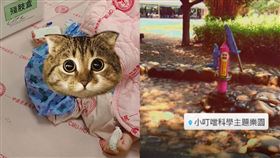 玩水,斷指,遊樂園(翻攝自 當事人臉書)