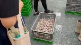 丟丟妹賣磷酸鹽蝦？上游進口商找到了
