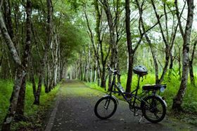 交通部觀光局總管處