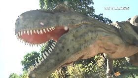 文 兩光百果山1200