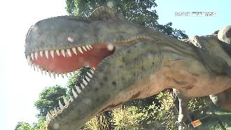 花2千遊恐龍樂園滿肚火　園方道歉