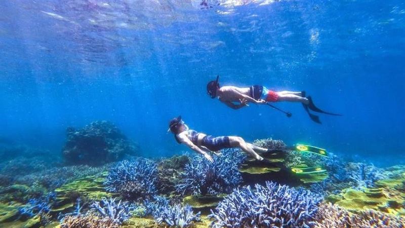 快搶！KKday「玩離島只要1元」