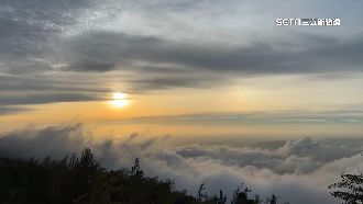 大崙山白天僅20度　湧現避暑人潮