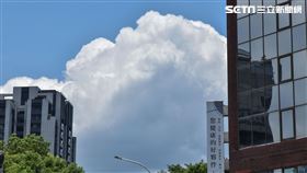 高溫/夏天/天氣(記者陳弋攝影)