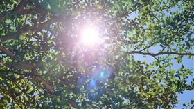 好天氣,太陽,高溫,中暑,熱傷害(翻攝畫面)