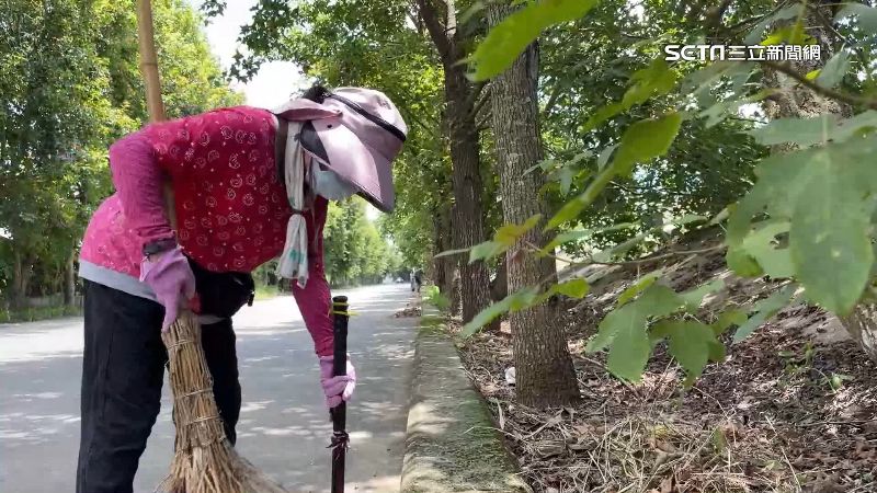 無償掃落葉　「綠色隧道」最美的風景