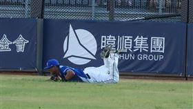 ▲富邦悍將林哲瑄撲接受傷退場。（圖／富邦悍將球團提供）