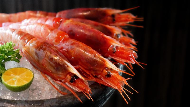 過七夕送生食級胭脂蝦　壽星吃鍋5折