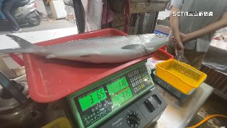 虱目魚變貴　相較去年同期漲34%