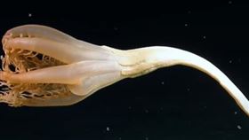 海筆https://www.youtube.com/watch?v=3HXJtMUmd00