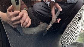 刮傷賓士遭索賠「2萬元和解」 她這理由拒絕 再送1張紅單。爆怨公社