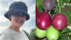 黃雨欣、海檬果（圖／翻攝自黃雨欣臉書、資料照）