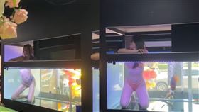 台灣網友分享，泰國一間水族商店的開幕活動。（圖／翻攝自爆廢公社 臉書）