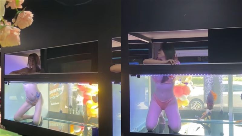 水族店辣妹魚缸熱舞　網見這條秒嚇傻