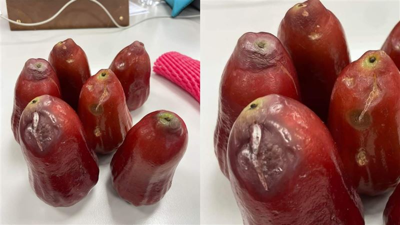 出遊花500變肥羊！打開名產超傻眼