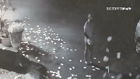 除草撒冥紙060.0(DL)