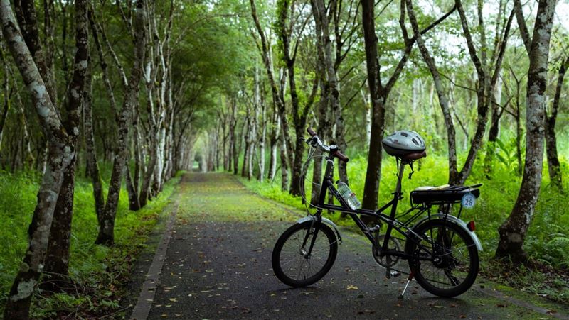 騎自行車遊花東　3條路線賞縱谷風光