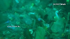 文 百人清海廢1030