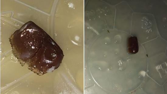 他吃麵咬到「紅豆」　真相崩潰吐了