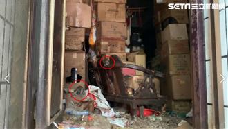 殲滅老鼠大軍Day2！撬開鐵門傻眼