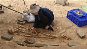 清華大學考古團隊在鵝鑾鼻公園出土大量墓葬，場域也是太平洋島嶼最古老、面積最大的貝器加工場遺址。（圖／翻攝自facebook.com/nthu.tw）

