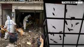 高雄,老鼠,環保局,清潔,鼠窩