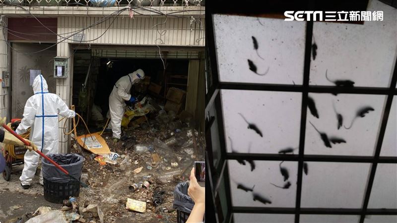 轟動全台的「米奇屋」賣掉了！驚人售價曝