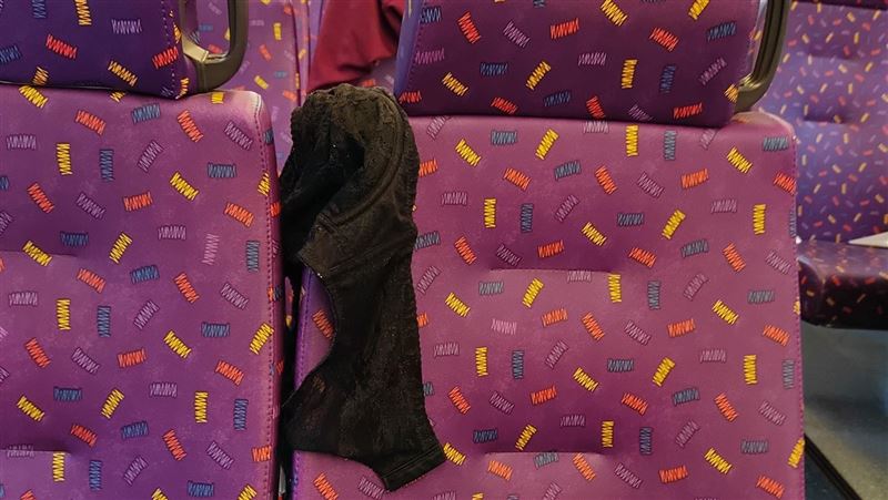 公車直接脫？她胸罩掛椅背　後座羞爆
