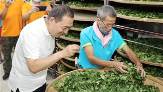 「雙北製茶技術競賽」茶農大秀真功夫
