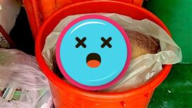 虎哥,邵柏森,米克斯,割喉,狗屍（圖／邵柏森-虎哥救援大小事授權提供）