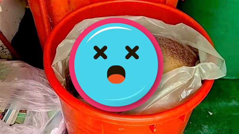 狗被割喉棄屍垃圾桶　報警後一看笑了