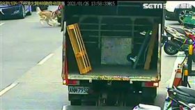 哈士奇衝到馬路上撞飛騎士，女飼主因此被索賠461萬。（圖／記者李依璇翻攝）