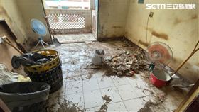 高雄,老鼠,環保局,清潔,鼠窩,三民區,貓