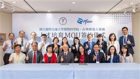 台灣輝瑞與陽交大藥物科學院日前簽訂人才培育備忘錄。（圖／台灣輝瑞提供）
